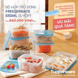 Hộp Trữ Đông Freezer dung tích 650ml