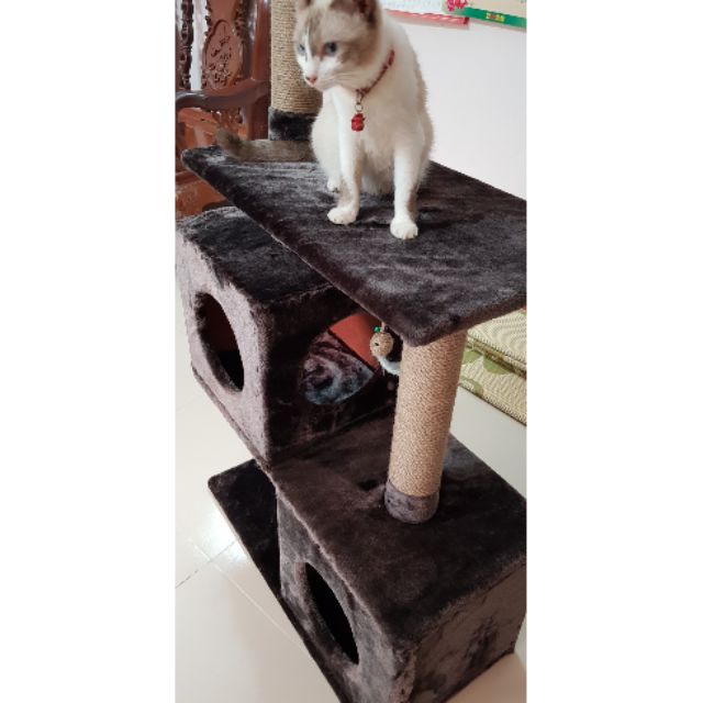 Nhà Mèo Khổng Lồ 😻 FREESHIP 😻 Inbox Shop để được giảm giá