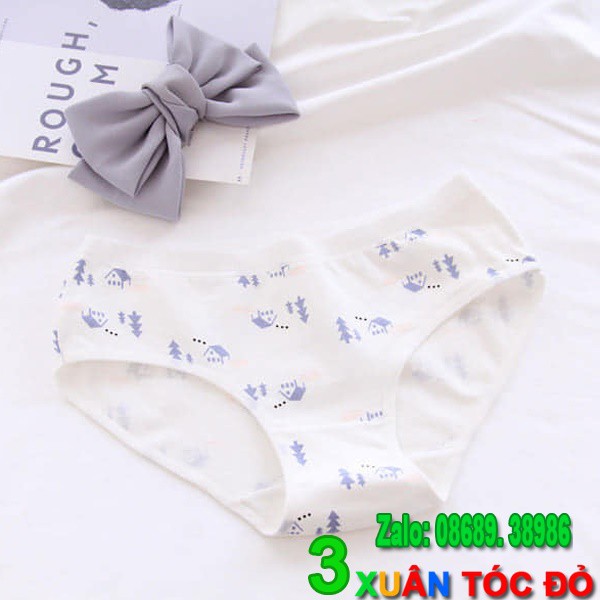 SỈ ZALO RẺ HƠN NHIỀU_ Quần Lót Gấu Trắng Bắc Cực Siêu Đẹp 5079 | BigBuy360 - bigbuy360.vn