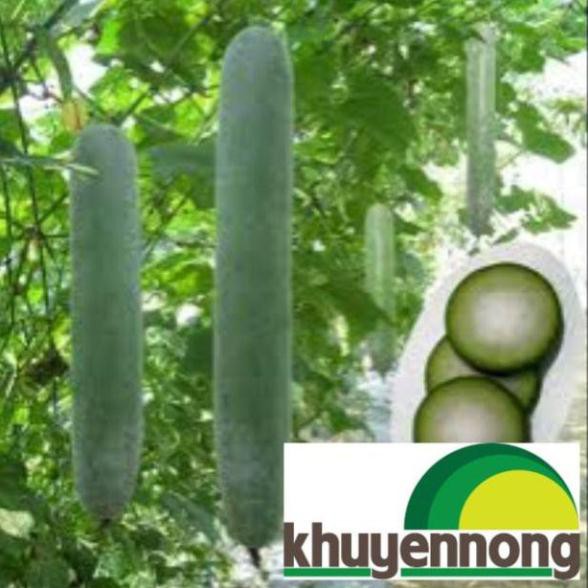 Gói 20 hạt giống bí sặt  quả dài