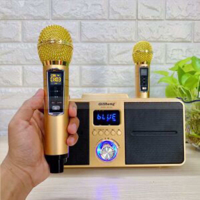 Loa Karaoke Bluetooth Xách Tay Di Động,Tặng Kèm 2 Micro Không Dây Cao Cấp