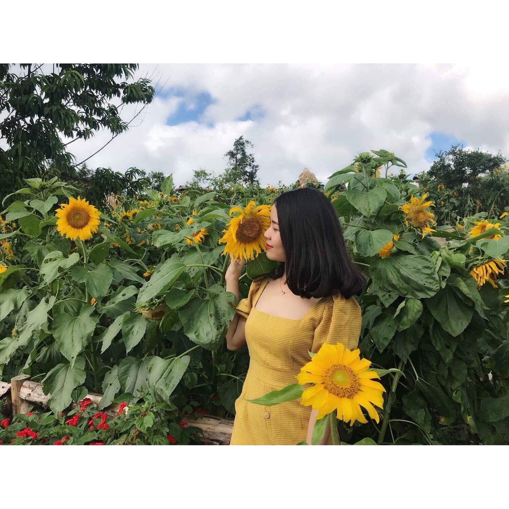 [GIÁ HỦY DIỆT] Váy zeny cổ vuông ôm sát (ảnh thật mẫu chụp kèm feedback khách hàng) | BigBuy360 - bigbuy360.vn