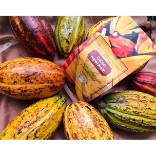 CACAO hữu cơ nguyên chất thượng hạng