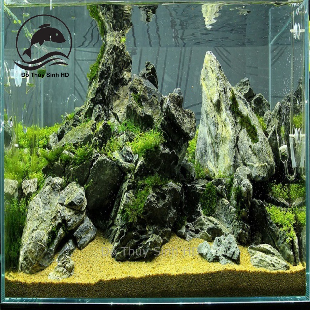 Cát nắng vàng cát trải nền hồ thủy sinh 500G