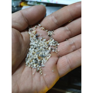 sỏi suối muối tiêu trang trí bể cá 1kg-134