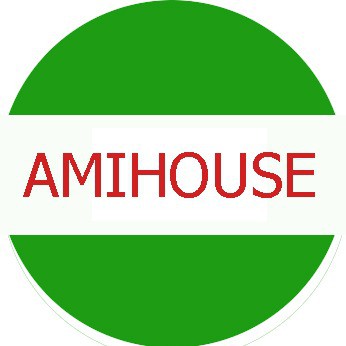 Áo Phông_Amihouse