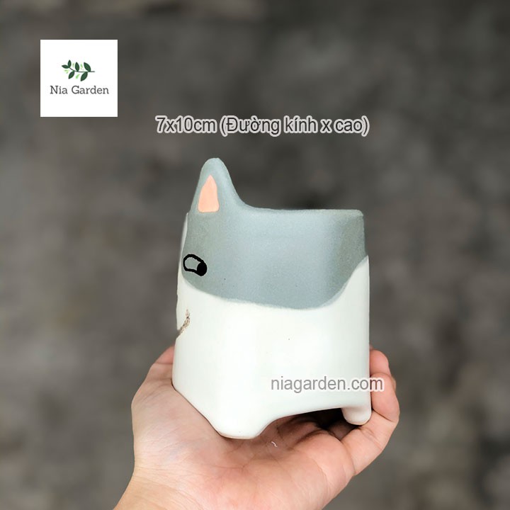 Chậu chó xám trồng cây để bàn sen đá xương rồng mini Nia Garden N4