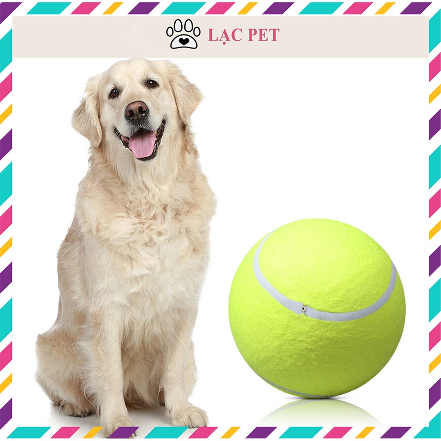 Bóng Tennis Rèn Luyện Vận Động Cho Thú Cưng Của Bạn