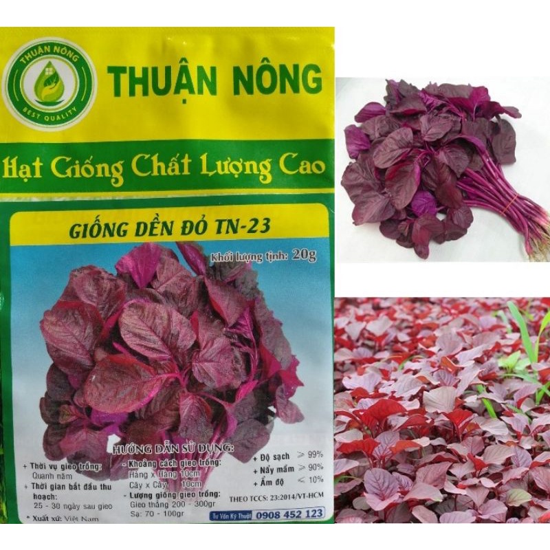 Hạt giống Rau Dền Đỏ (THUAN NONG)