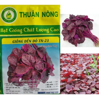 Hạt giống Rau Dền Đỏ
