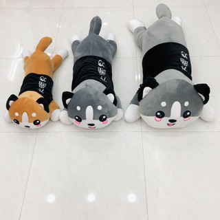 Mèo husky gối ôm