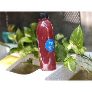 100ml Vi sinh quang hợp PSB - M