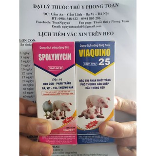 Bộ đôi đặc biệt hiệu quả phân trắng lợn con