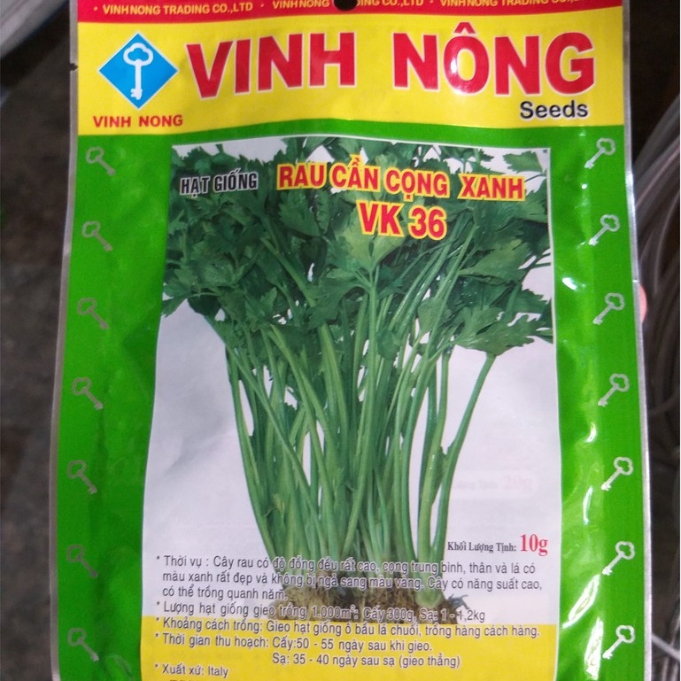 Hạt Giống Rau Cần (10g), rau Cần Cọng Xanh