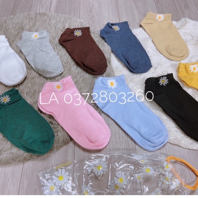 Tất hoa cúc Vớ hoa cúc hoạ mi xinh xinh set 10 đôi 10 màu
