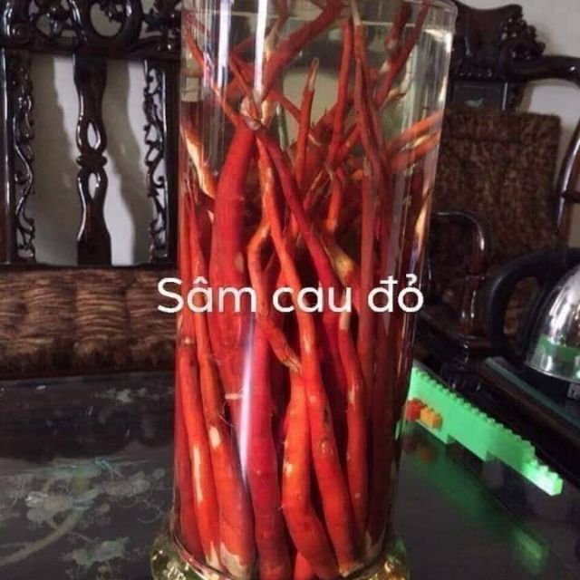 SÂM CAU ĐỎ 1KG HÀNG CHỌN CỦ TO