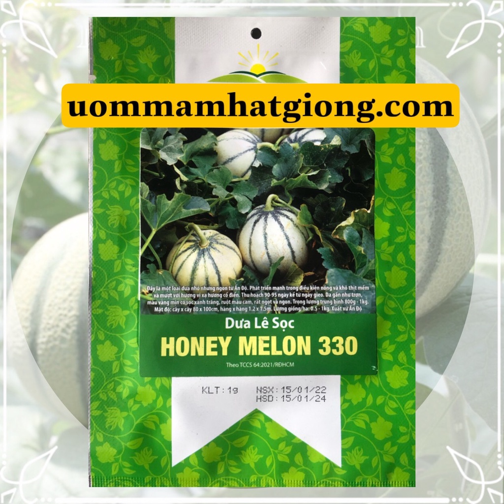 Hạt giống Dưa Lê Sọc HONEY MELON 330-1g