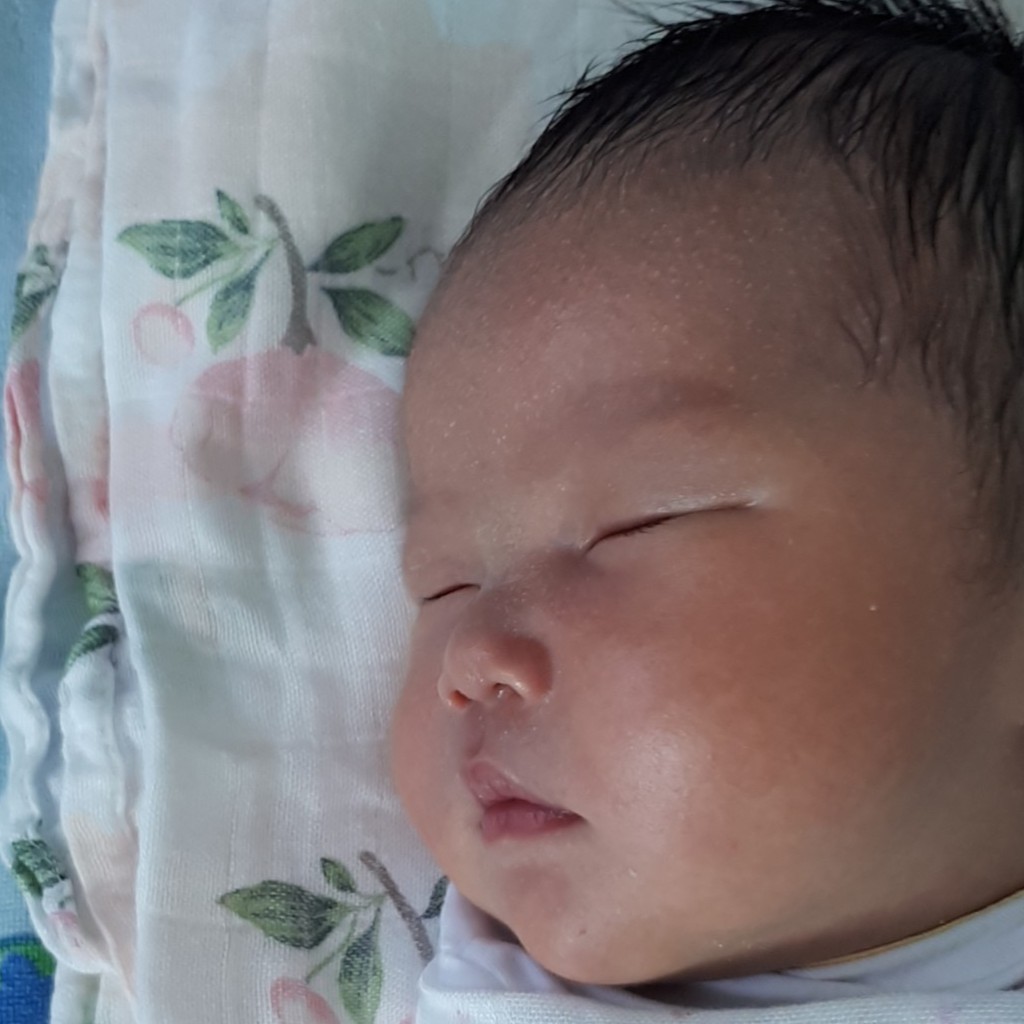 ThựcPhẩmBảoVệSứcKhỏe