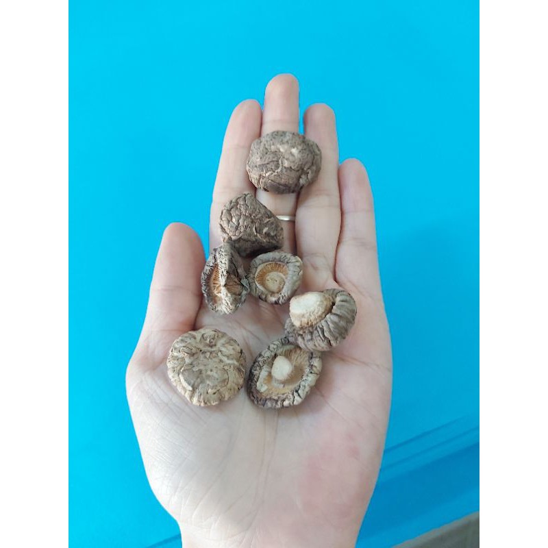 100gr Nấm hương khô loại 1