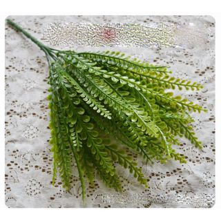Lá Giả - Những Nhánh Lá Dương Xỉ