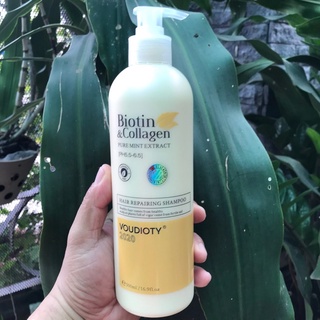 Dầu gội Biotin Collagen pure mint extract VOUDIOTY giảm rụng tóc, kích thích mọc tóc, phục hồi tóc khô xơ, hư tổn. 500ml