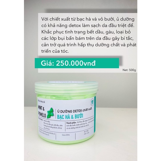 Ủ TÓC BẠC HÀ & BƯỞI