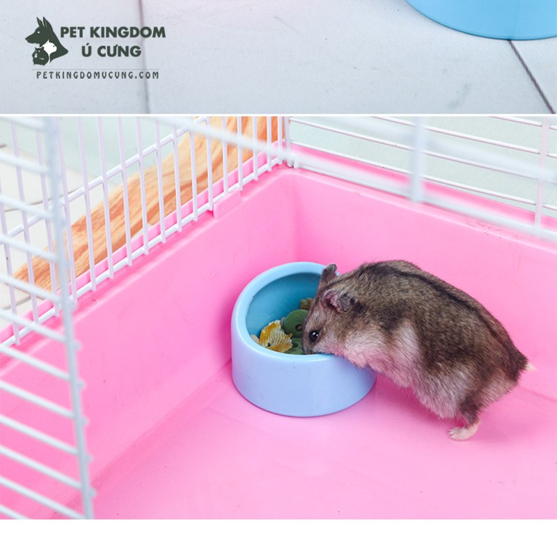 Bát ăn nhựa cho hamster nhiều loại