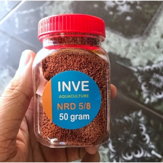 Cám Thái Inve 5/8 ( Hũ 50g & 100g )
