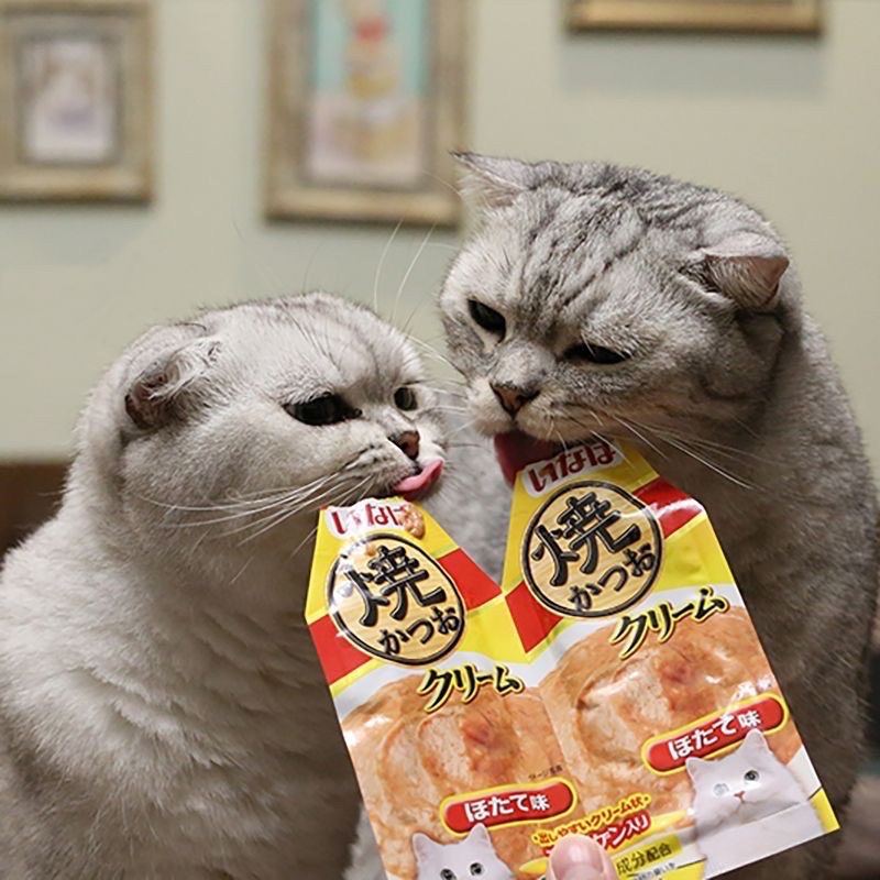 [RẺ VÔ ĐỊCH] Pate thưởng cho mèo Ciao đôi INABA (2 gói) 6 mùi vị đa dạng 60G -Thức ăn dinh dưỡng thú cưng Gogi MEOW MART