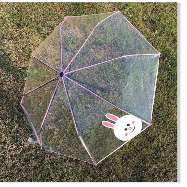 DÙ TRONG SUỐT GẤP GỌN HÌNH HOẠ TIẾT