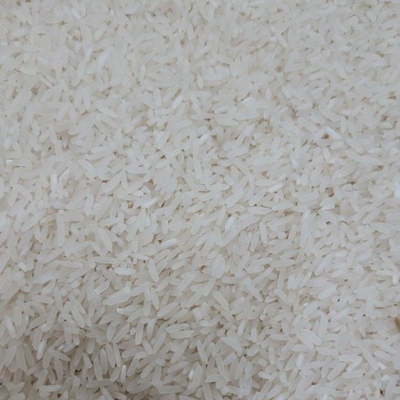 Gạo BC Thái Bình10kg