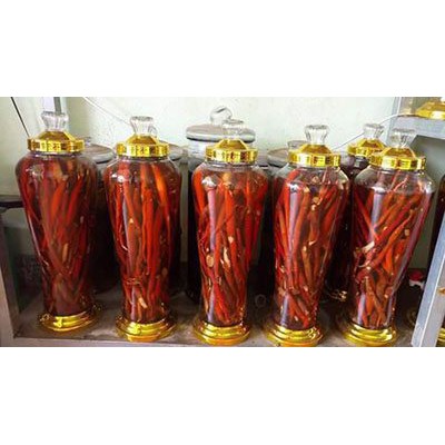 Sâm Cau Đỏ Tây Bắc( Tươi và Khô) | BigBuy360 - bigbuy360.vn