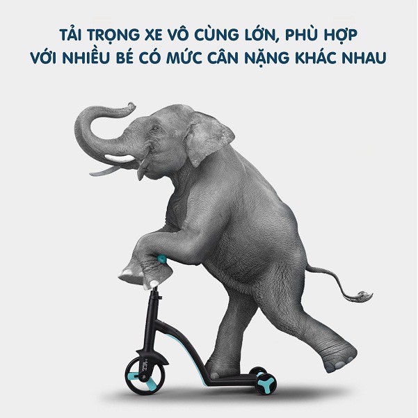 [LONTON MART] _ Xe biến hình Scooter, chòi chân, cân bằng 3 trong 1 cho bé từ 1 tới 7 tuổi Nadle TF3  [CHÍNH HÃNG]