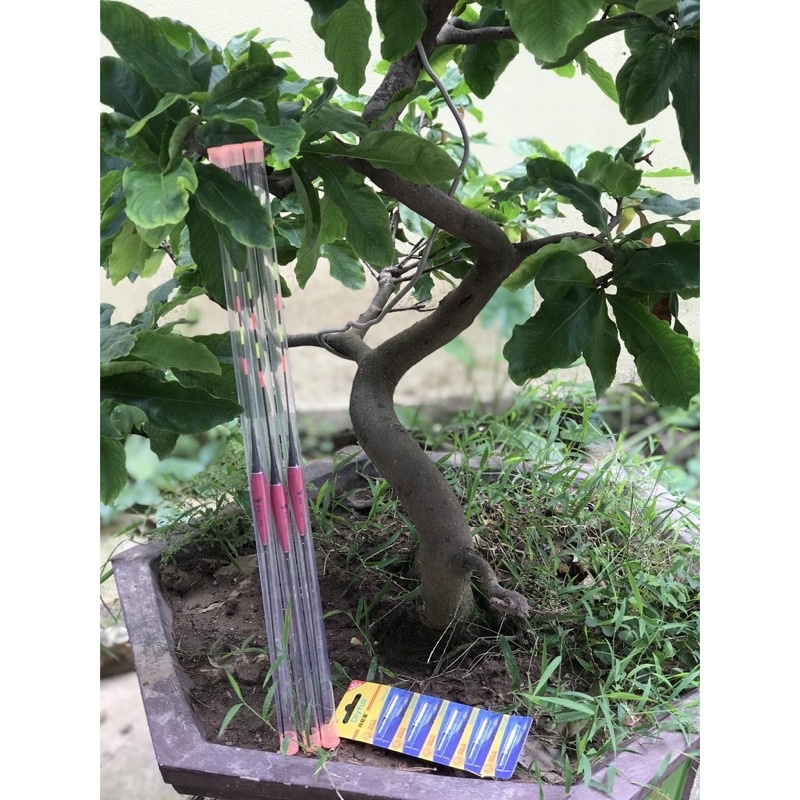 Phao Đêm Câu Đài, Phao Câu Đài Ban Đêm Cao Cấp