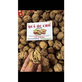 Quả óc chó đặc sản Sapa 1kg