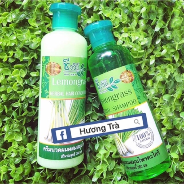 Bộ dầu gội & xả dữơng và kích mọc tóc từ tinh chất sả BIO WAY 360ml