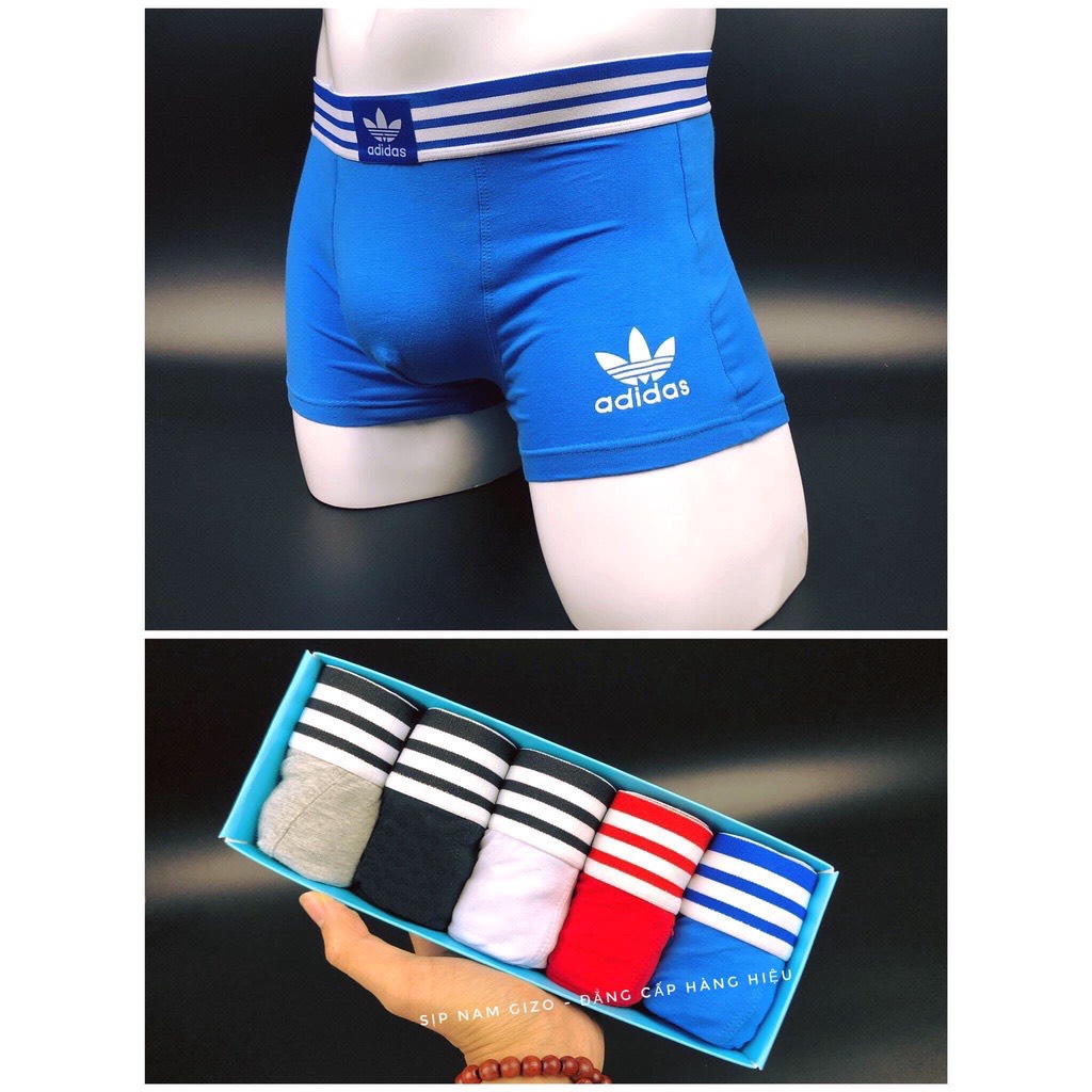 [XẢ KHO❤️] HỘP 5 QUẦN Sịp đùi ơi vải cotton 100% kháng khuẩn khử mùi, co giãn tối đa,chống nhăn, mềm mịn