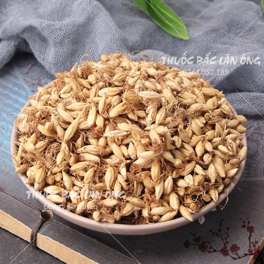 Mạch nha 1kg (Mầm lúa mạch, hàng loại 1)