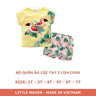 Litter maven bộ cộc hè 2018