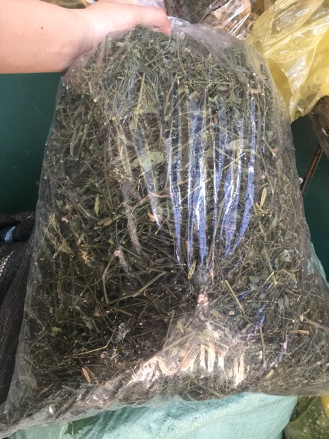 1kg Xuyên Tâm Liên tắm chữa các bệnh ngoài da