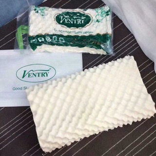 Gối cao su non Ventry