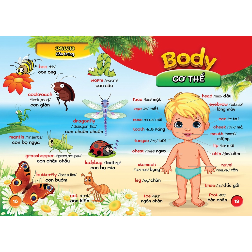 Sách - Từ Điển Bằng Hình Đầu Tiên Của Bé