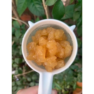 Nấm nước Kefir - Water kefir  ( 20gr) - Bảo Hành đến tay khách hàng