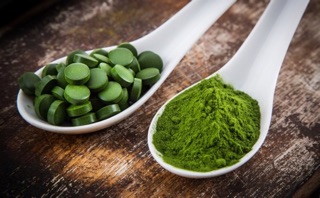 Tảo xoắn Spirulina