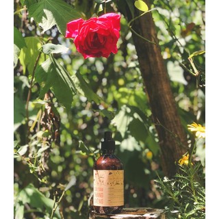 Sữa tắm Tháng Giêng handmade(chai nhựa)