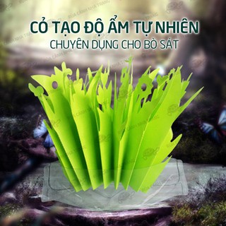 CỎ TẠO ĐỘ ẨM CHO BÒ SÁT, TẠO MÁT MẺ CHO THÚ CƯNG BÒ SÁT