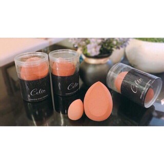 Mút trang điểm celin, mút tán nền celin