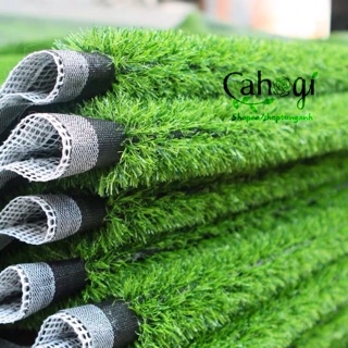 Thảm cỏ trải sàn ngọn cao 2,5cm