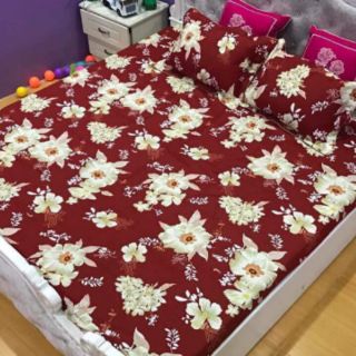 Ga gối cotton Thắng Lợi