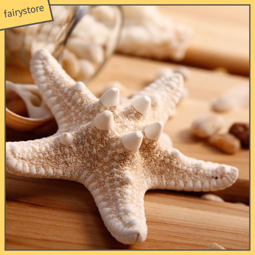 Kẹp Tóc Càng Cua Hình Sao Biển Tự Nhiên Cho Nữ